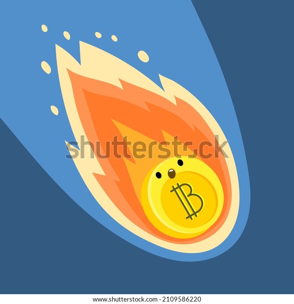 Bón