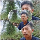 Vươ