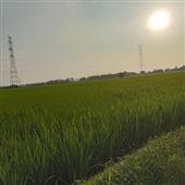 TÀI