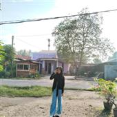 Cây