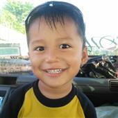 Dự 