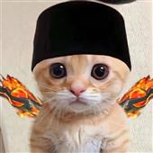 Chơ