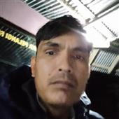 Làn