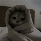 Mã 