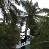 tr