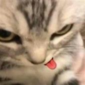 ON
