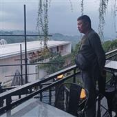 Dự