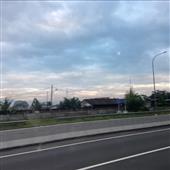 Mắt