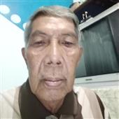 gấ