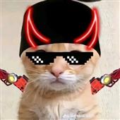 Pok