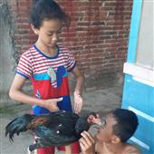 Chế