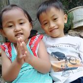 Dự 