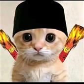Zíc