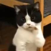 Các