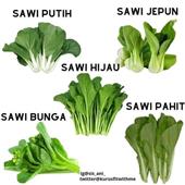 BỮ