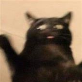 Ki