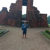 Dự