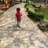 Số